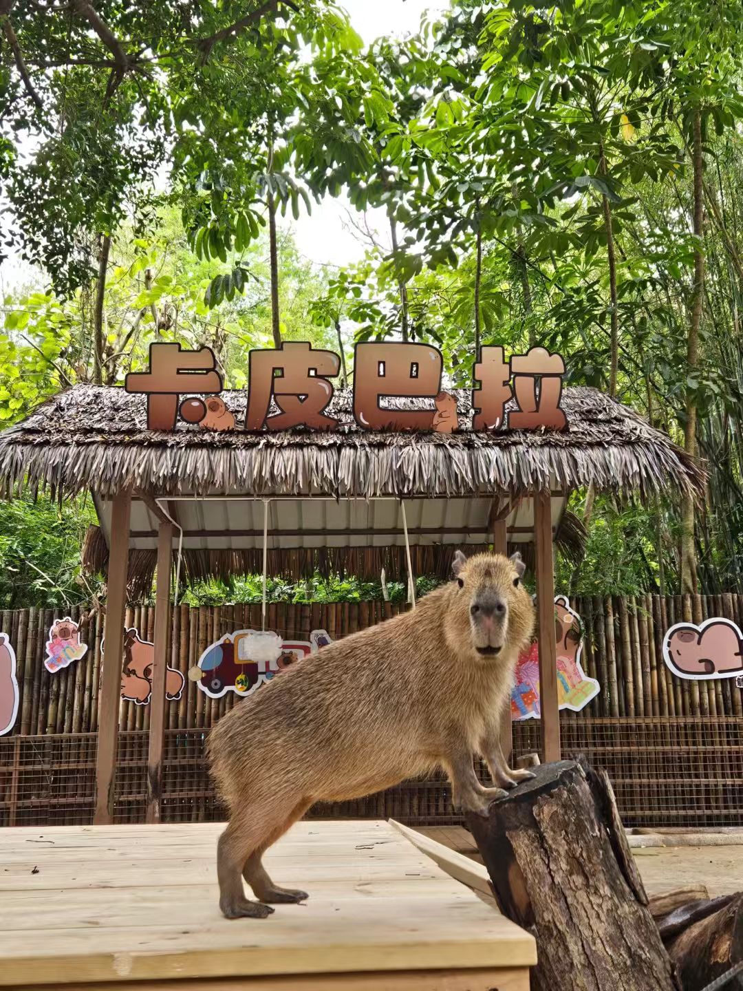 成都金堂飼養(yǎng)員好品質(zhì)看的見(jiàn)