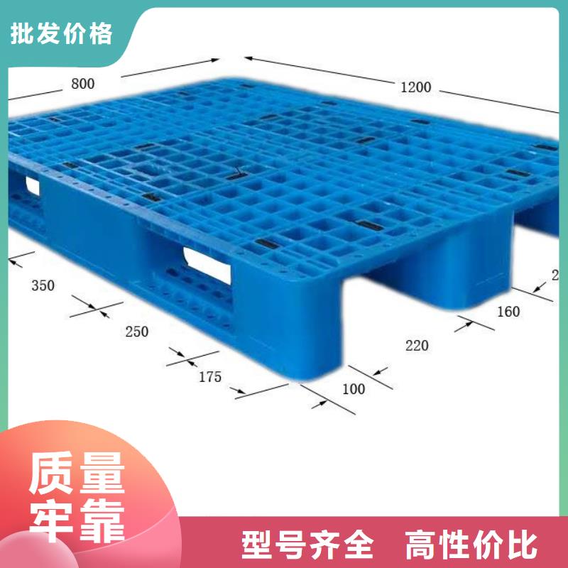 瓦房店市塑料拍子生产商选择大厂家省事省心