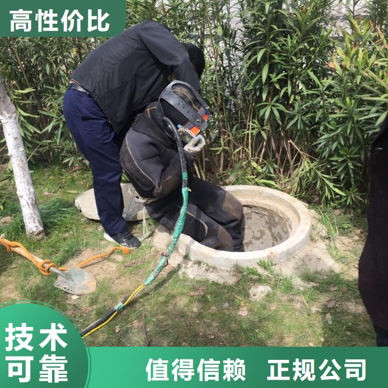 桥桩桩基水下检测-本市-潜水员施工队伍靠谱商家