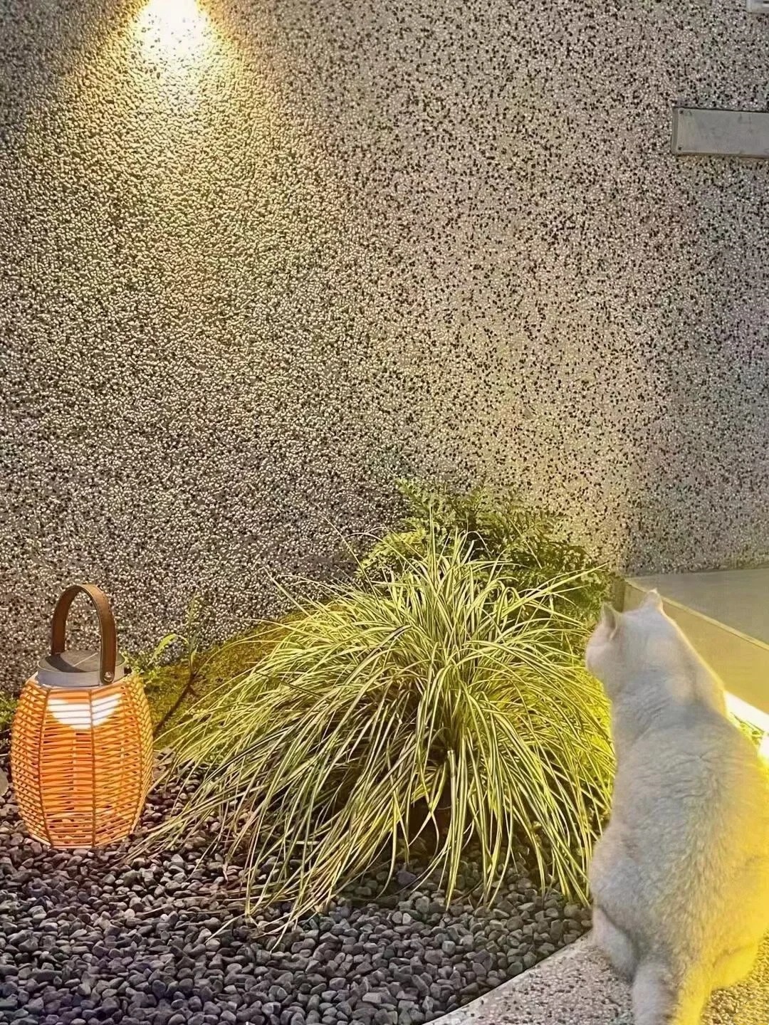 玉林2025水洗石價(jià)格表實(shí)力雄厚藝術(shù)涂料