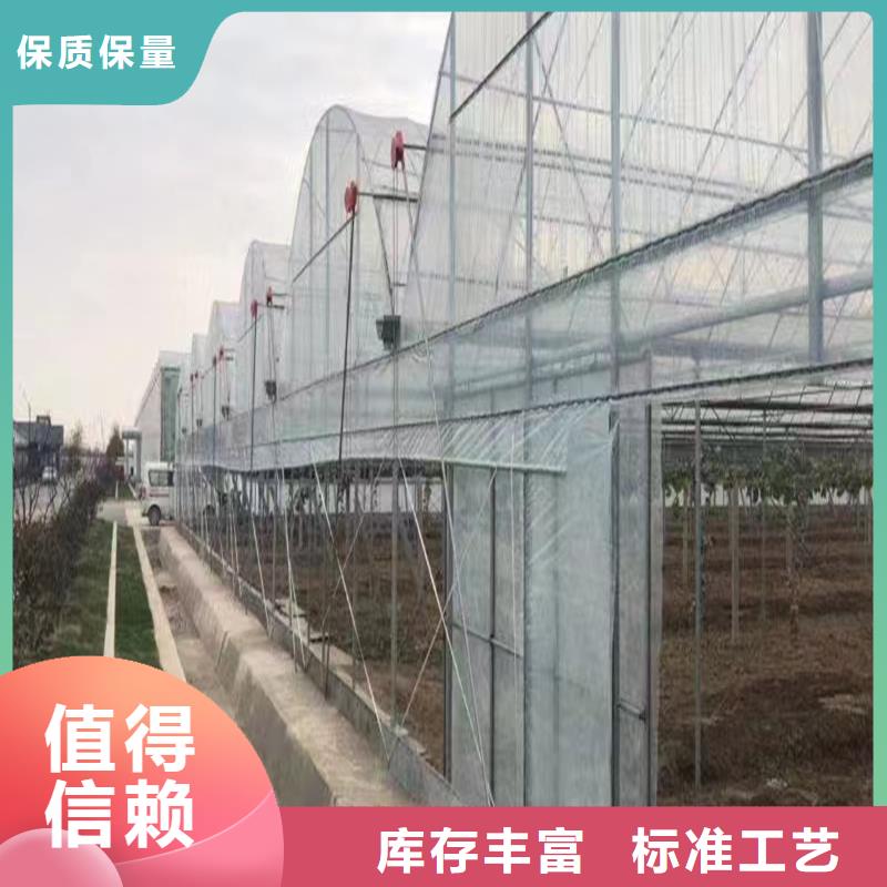 林州县蔬菜大棚厂生产基地附近品牌