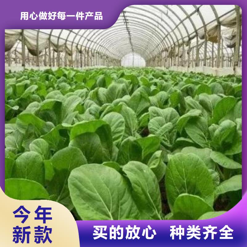 菏泽曹县定陶有机肥客户至上当地货源