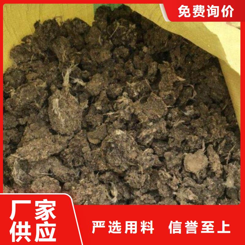 聊城北京天津鸡粪葡萄树能用吗工厂批发