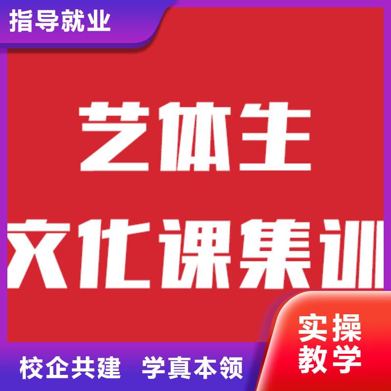 预算不高，艺考文化课冲刺哪个好？校企共建