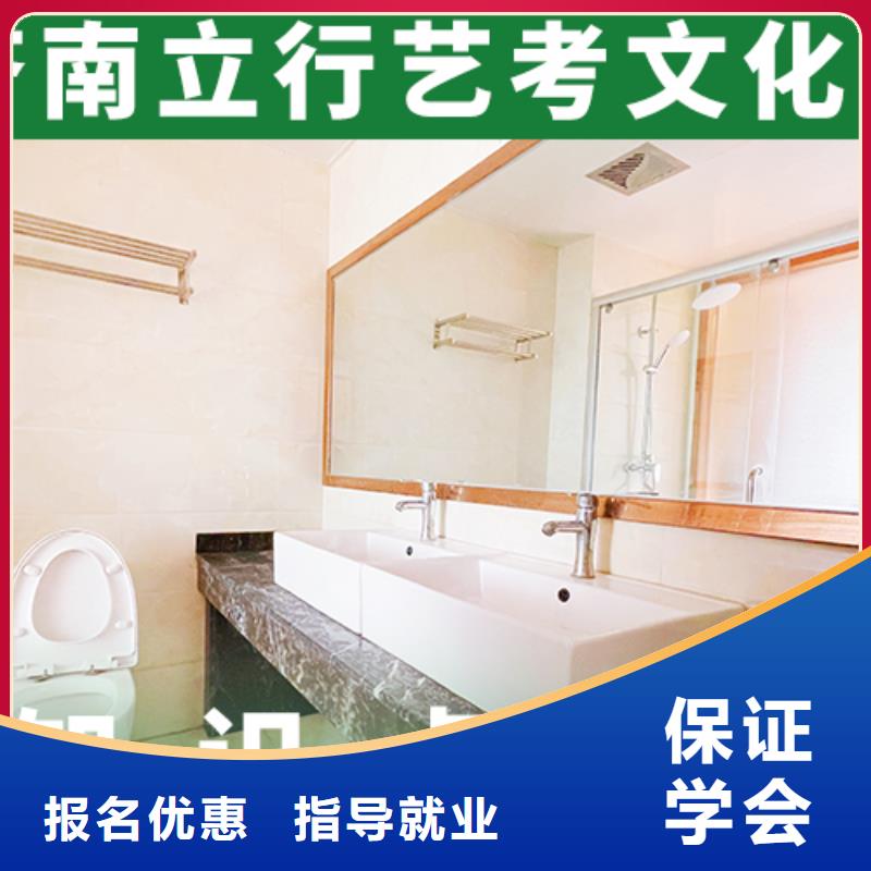 藝術(shù)生文化課-高考語(yǔ)文輔導(dǎo)課程多樣同城生產(chǎn)商