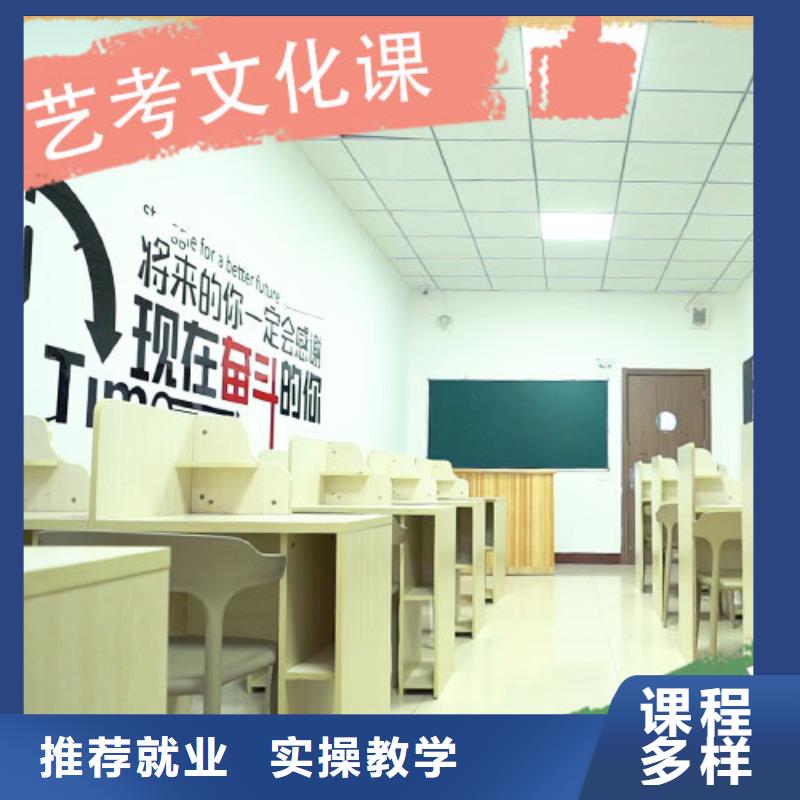 藝考生文化課高三集訓(xùn)全程實操實操培訓(xùn)