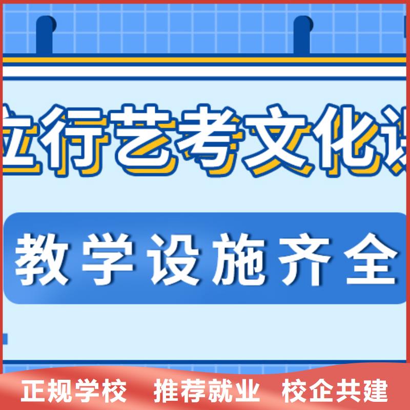 艺考文化课培训哪里好{本地}公司