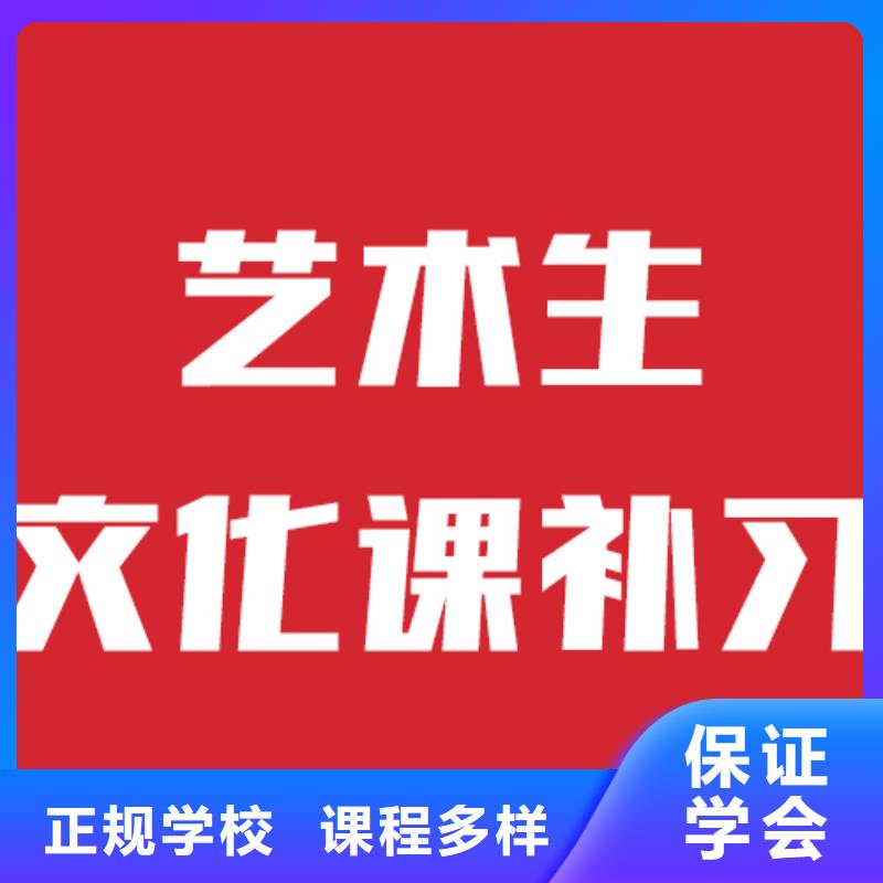藝考文化課機(jī)構(gòu)-【藝考培訓(xùn)機(jī)構(gòu)】學(xué)真技術(shù)學(xué)真本領(lǐng)