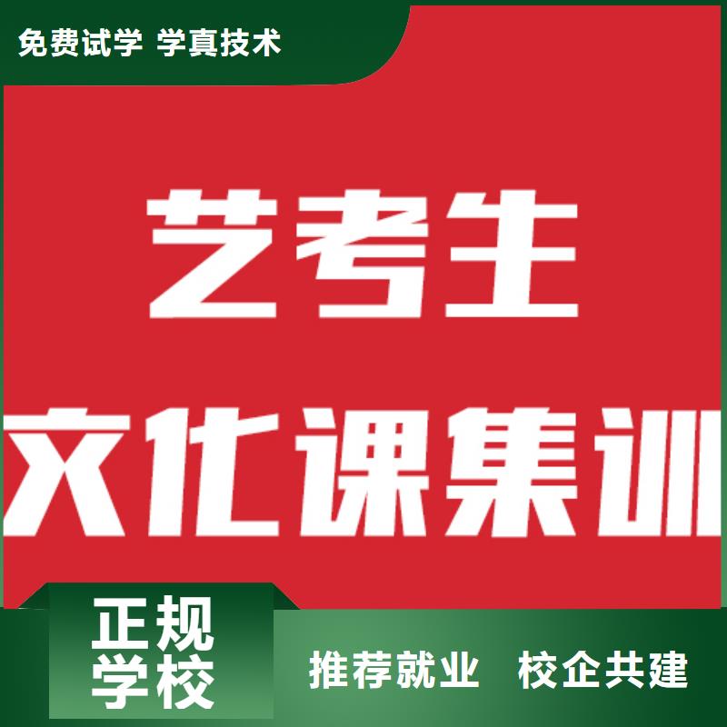 艺术生文化课补习有几所学校地址在哪里？技能+学历