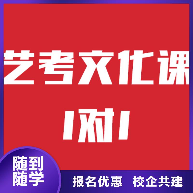 艺术生文化课补习招生靠谱吗？理论+实操