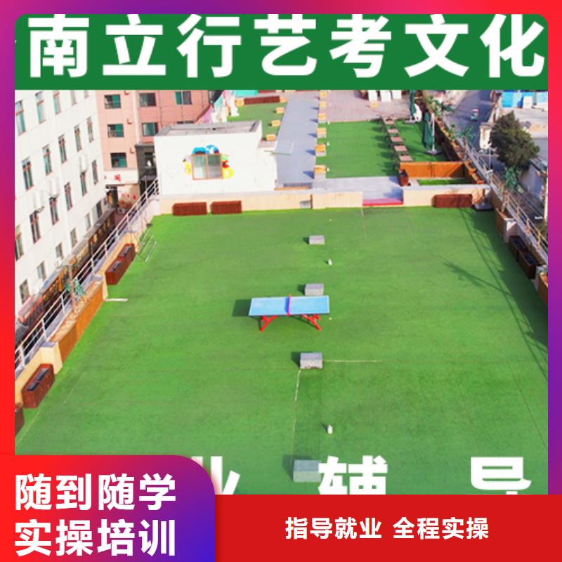 艺术生文化课补习学校收费<本地>公司