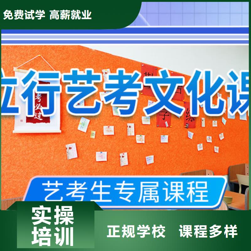 藝考文化課學(xué)校美術(shù)生文化課培訓(xùn)理論+實操當(dāng)?shù)刂圃焐? width=
