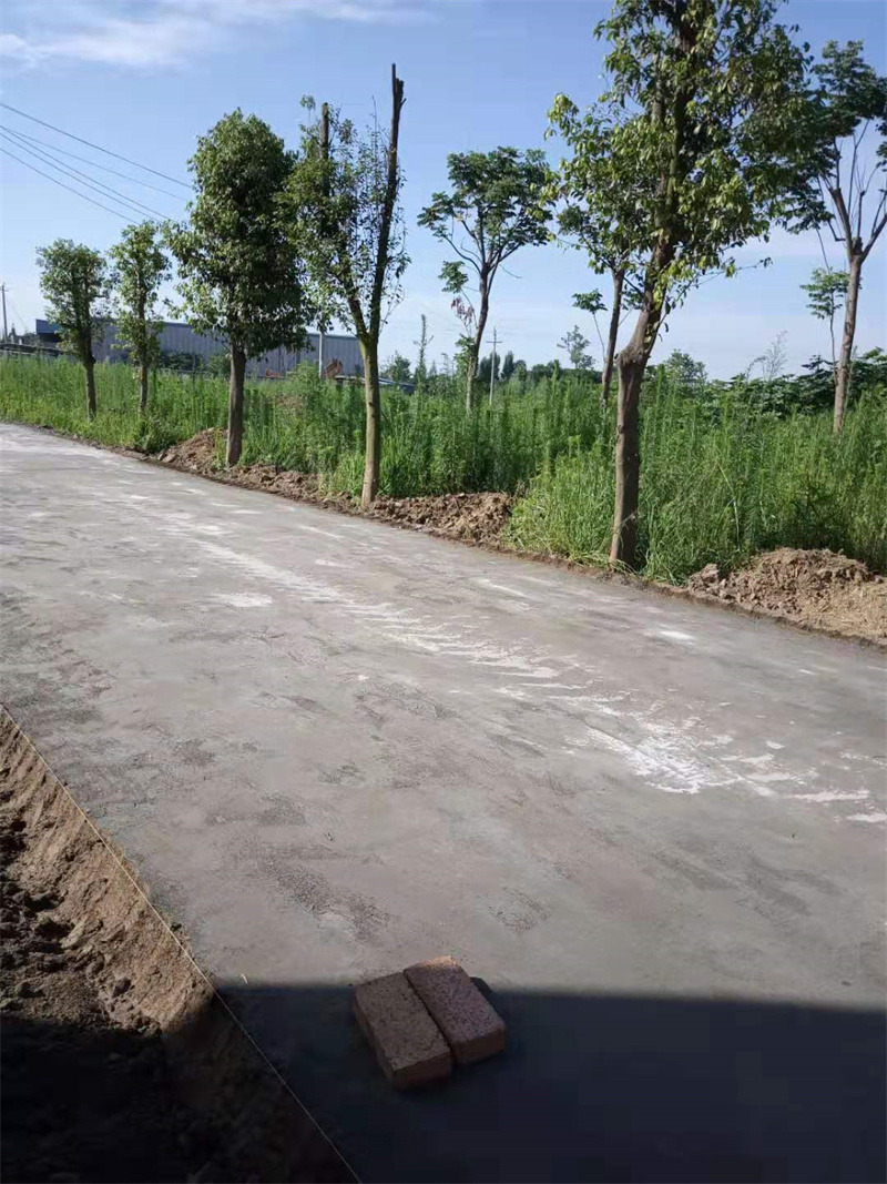 原生泰土壤固化剂-原生泰土壤固化剂本地厂家用的放心