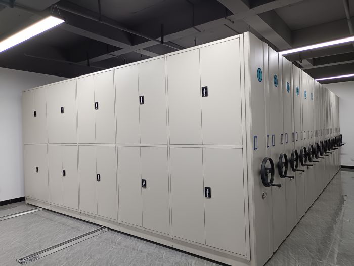 東昌財(cái)務(wù)密集架-移動(dòng)資料檔案柜用心服務(wù)