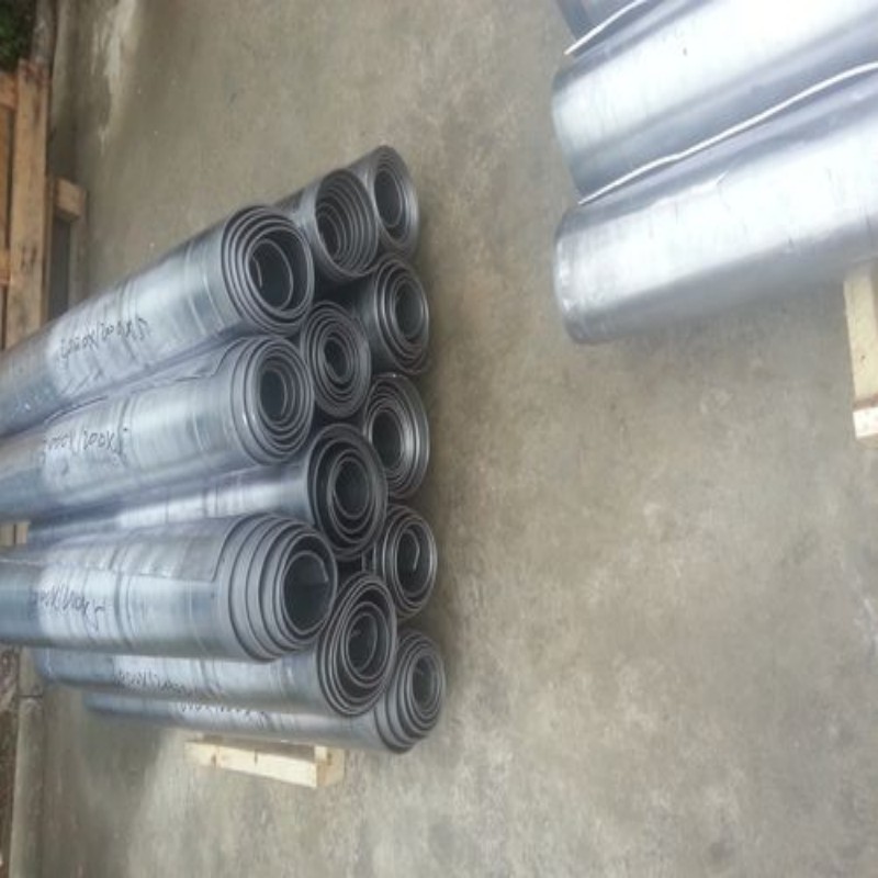 加速器防護(hù)門熱銷貨源
