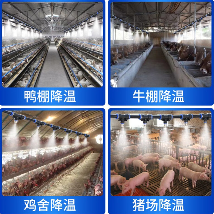 吉安新干質(zhì)優(yōu)價廉的生豬養(yǎng)殖場車輛消毒通道基地