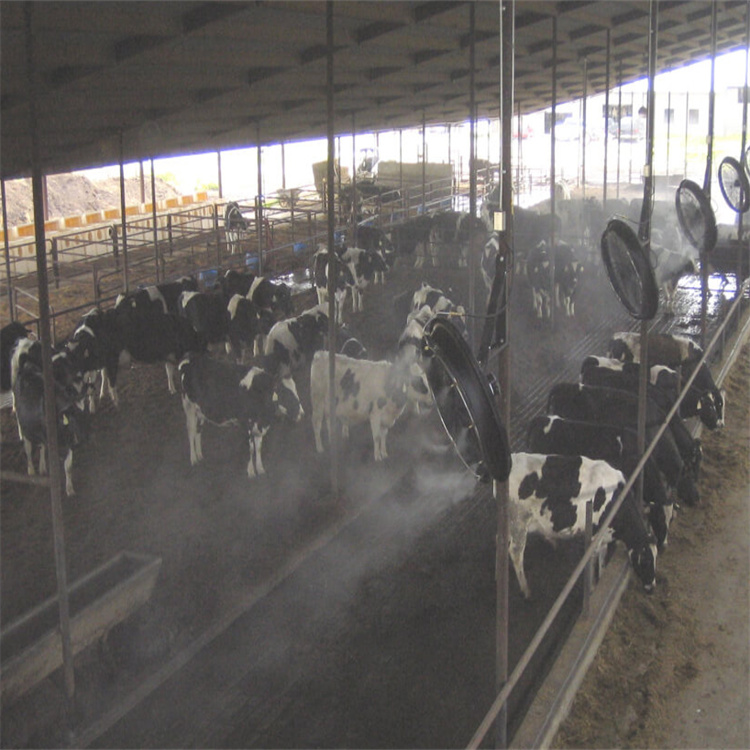 選生豬養(yǎng)殖場(chǎng)車輛消毒通道【無(wú)中間商】