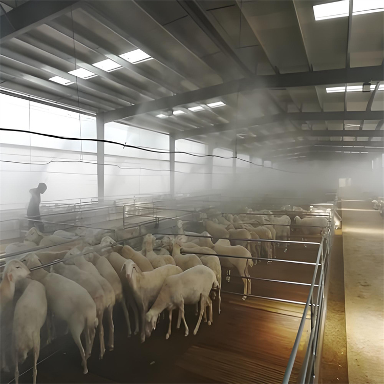 宜賓江安洗消噴霧設(shè)備、洗消噴霧設(shè)備廠家-價(jià)格實(shí)惠