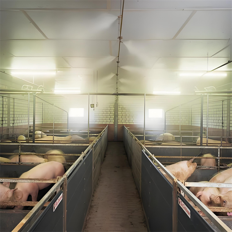 曲靖羅平霧化消殺設(shè)備廠家，發(fā)貨快