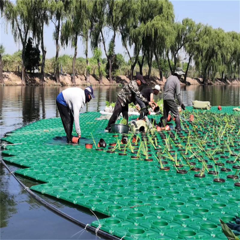 可定制的寧波象山水上生物浮島本地廠家