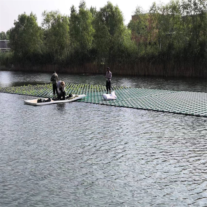 浮島水生全國銷售點(diǎn)