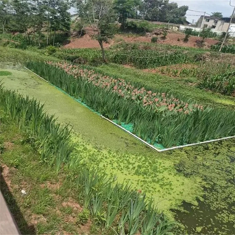 浮島水生廠本市廠家