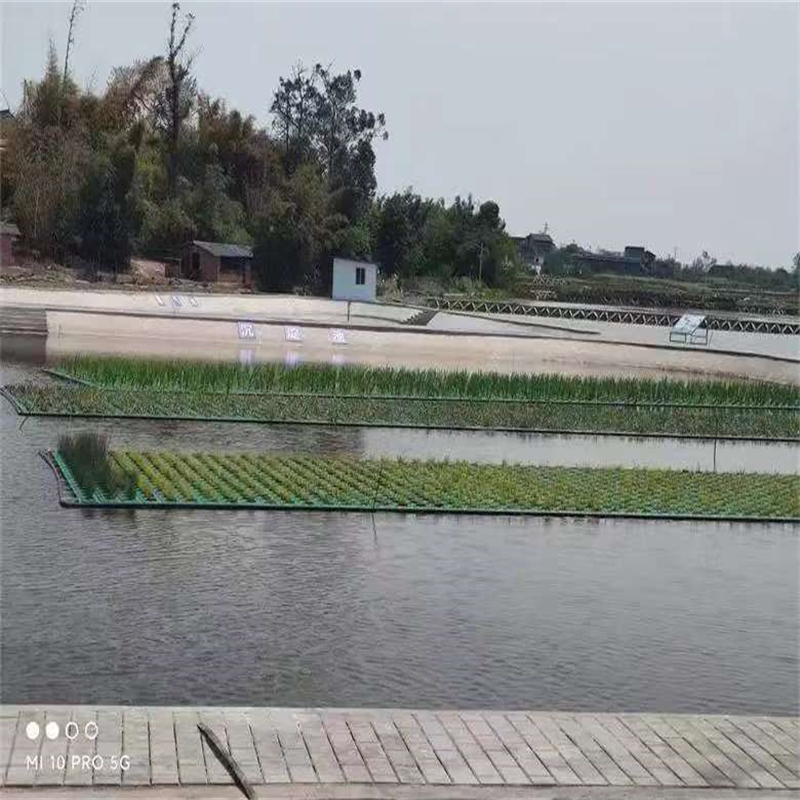 優(yōu)質(zhì)生態(tài)浮島工程-日喀則南木林專業(yè)生產(chǎn)生態(tài)浮島工程