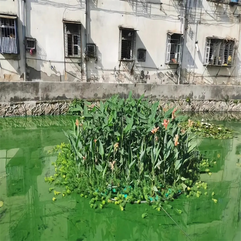 雅安漢源生態(tài)浮床人工浮島廠家質(zhì)量有保障