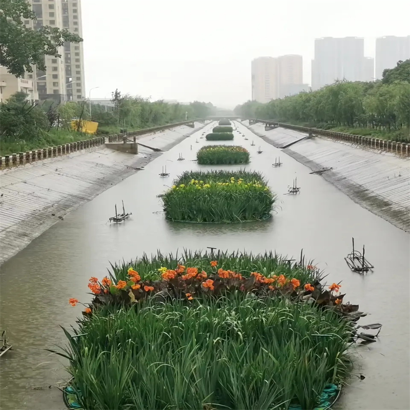 泉州惠安水生植物浮島來圖在線報價