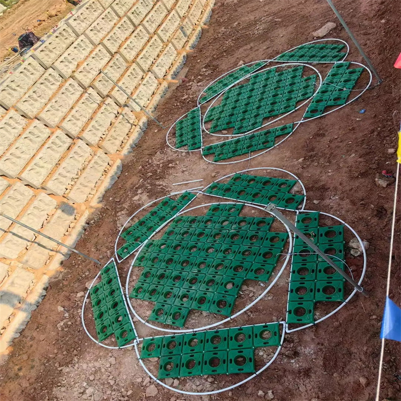 供應(yīng)潛流濕地綠化_實力廠家