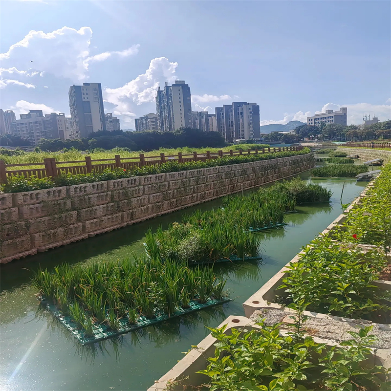 銷售浮床植物_優(yōu)質(zhì)廠家