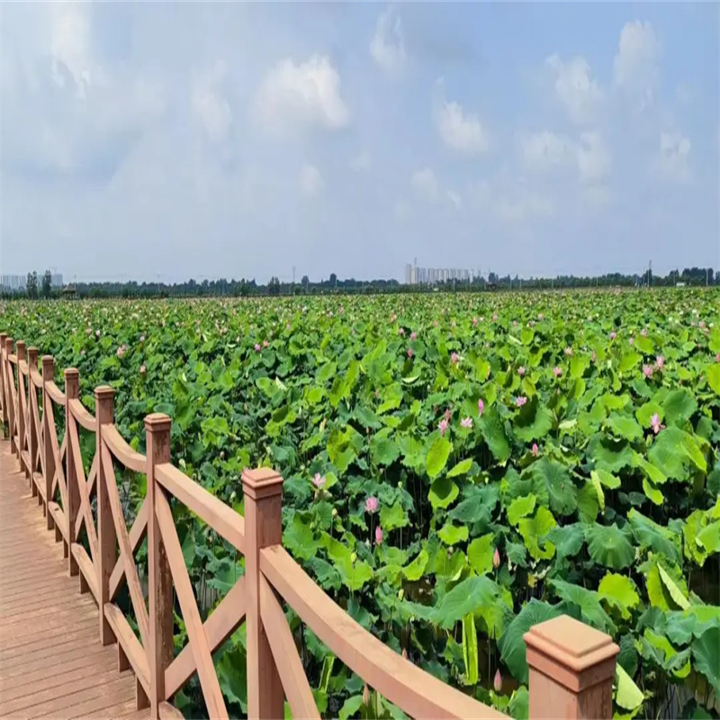 臨汾霍州本地荷花廠商