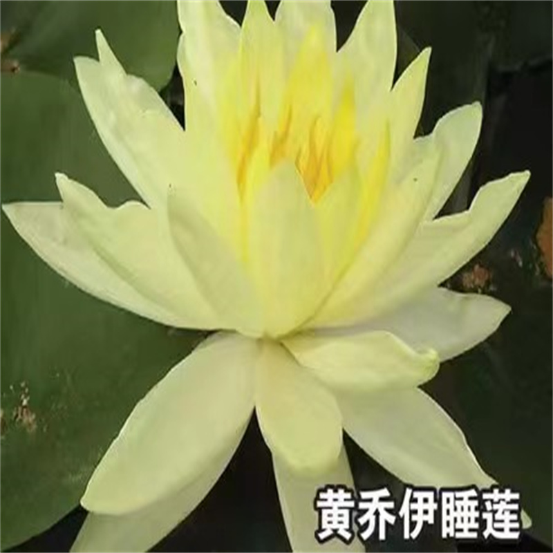 哈爾濱南崗當(dāng)?shù)卮笮秃苫ㄉa(chǎn)廠商