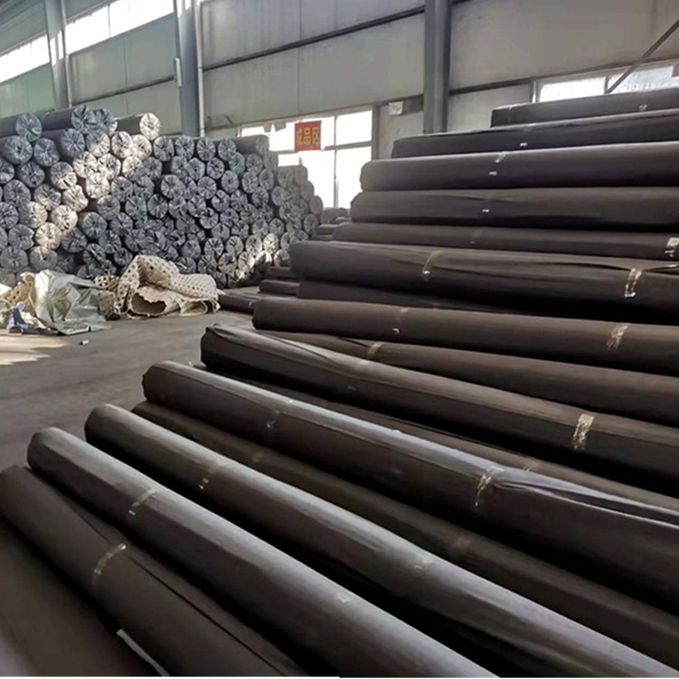 臨高縣土工格柵生產(chǎn)廠家