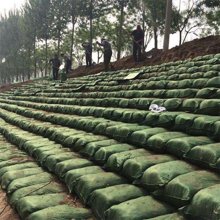 朝陽(yáng)滌綸生態(tài)袋全國(guó)發(fā)貨