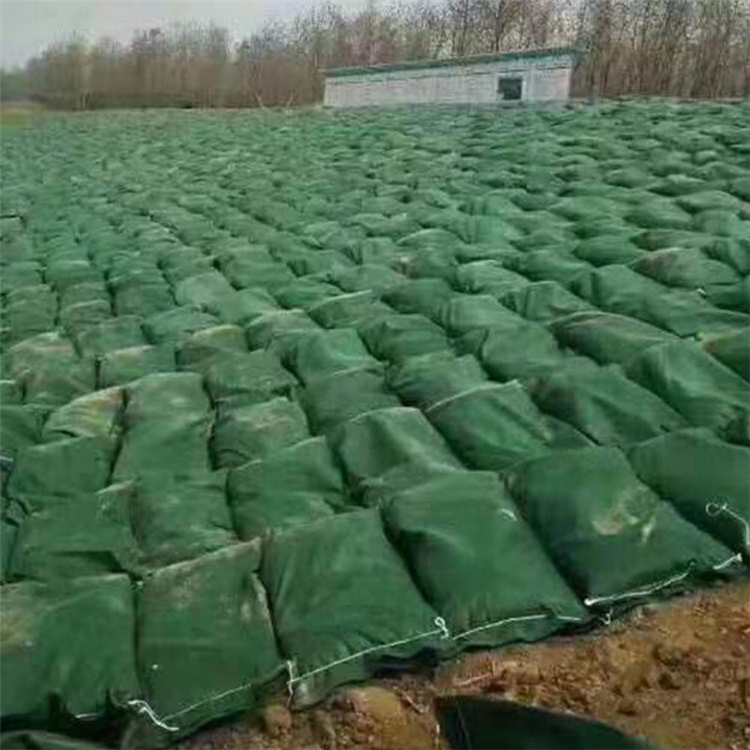 丙綸生態(tài)袋免費咨詢