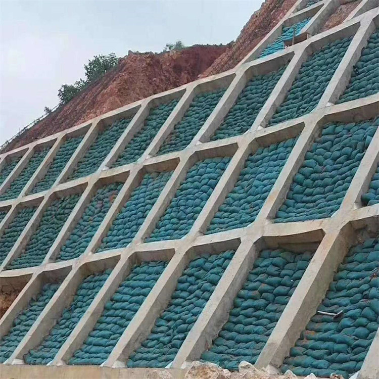 臺州長絲生態(tài)袋歡迎電詢