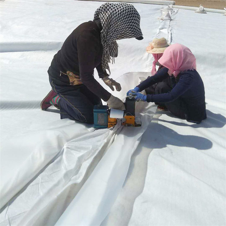 短絲土工布生產(chǎn)基地