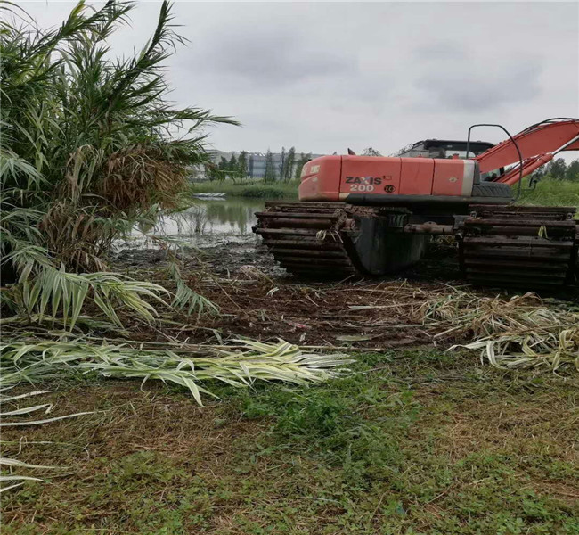 山東水陸挖掘機(jī)出租重信譽(yù)廠(chǎng)家