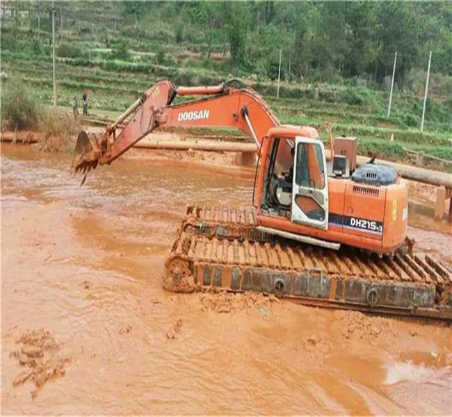 內蒙古質優(yōu)價廉的廣東水陸挖掘機出租供貨商
