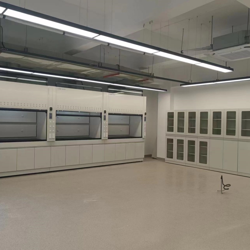 韶山實(shí)驗(yàn)室實(shí)驗(yàn)室專用柜精工細(xì)作品質(zhì)優(yōu)良