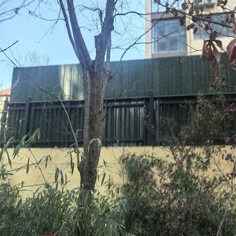 百色陽臺護欄高層陽臺防護欄實力派廠家