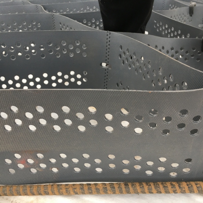 土工格室_高分子蜂巢格室質(zhì)優(yōu)價(jià)廉