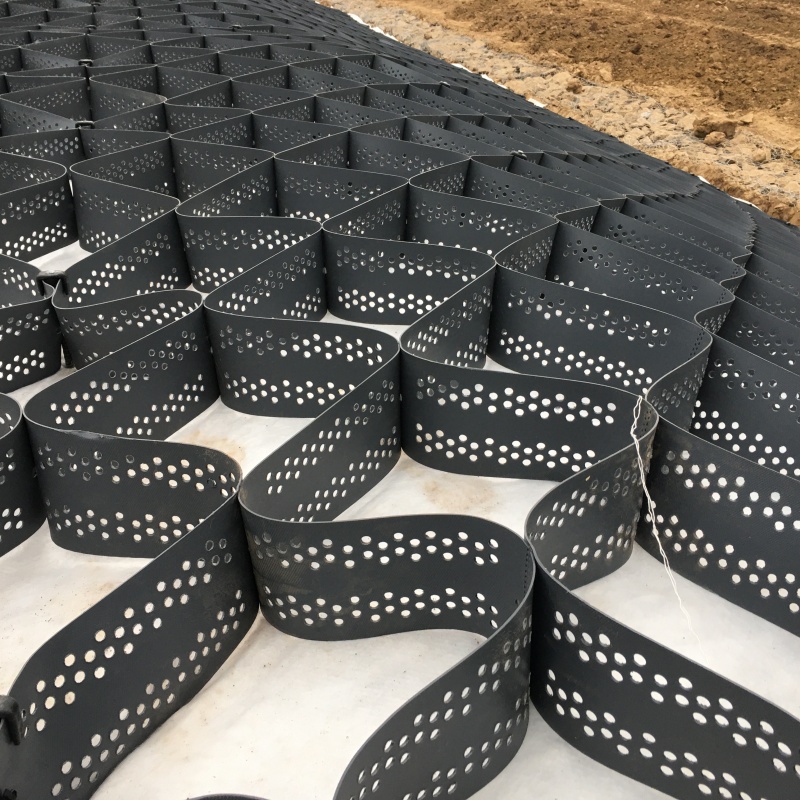 土工格室_高分子蜂巢格室質(zhì)優(yōu)價(jià)廉