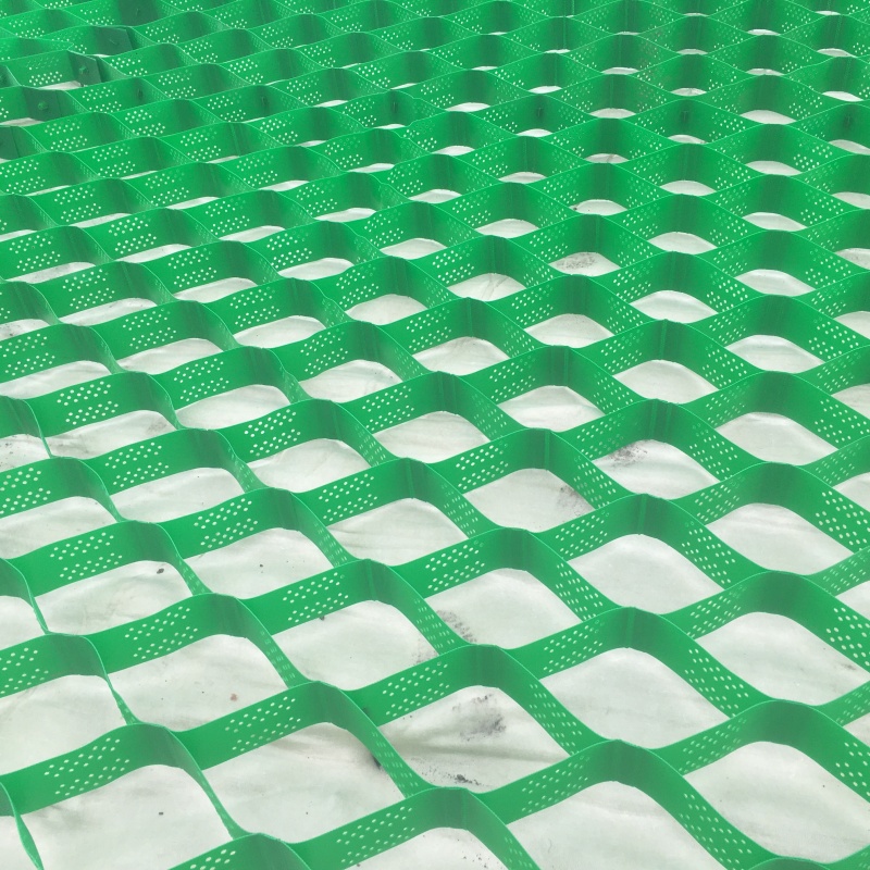 信州土工格室蜂巢格室價格標(biāo)準(zhǔn)工藝