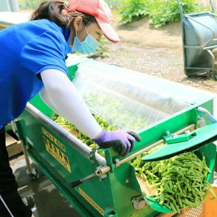 臨高縣履帶吊招工
月結工資
承潤