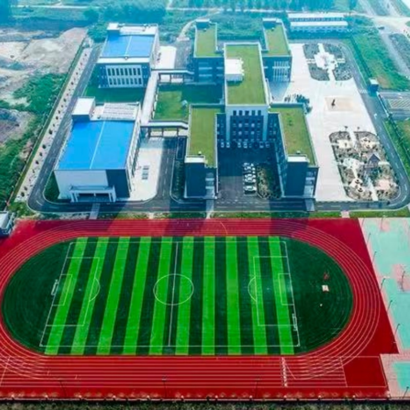 云陽跑道-塑膠跑道廠家實(shí)力雄厚品質(zhì)保障