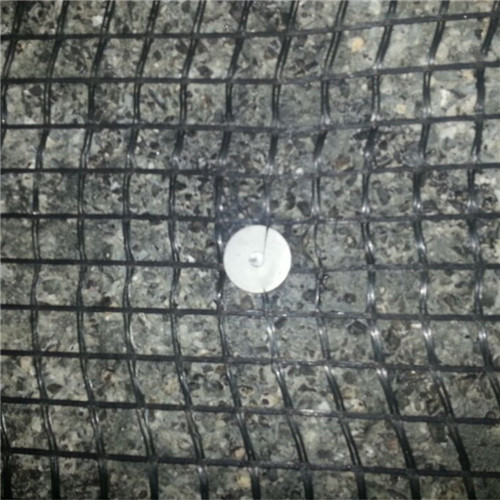 南票土工格柵鋼塑土工格柵拒絕中間商