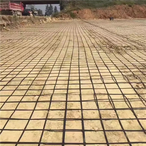 明水土工格柵PET土工格柵供貨及時(shí)