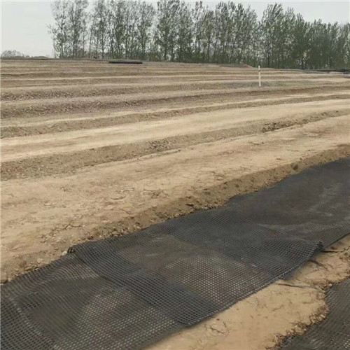 饒平土工格柵,雙向格柵專業(yè)生產(chǎn)廠家